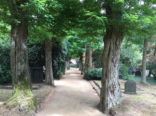 Jüdischer Friedhof Parkanlage