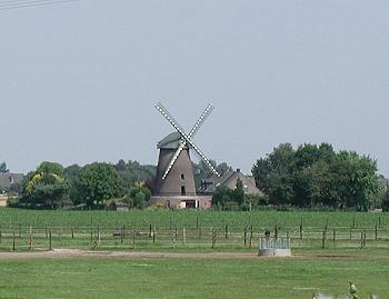 Bild von der Vernumer Windmühle