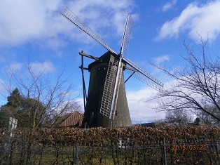 Mühle - Wahrzeichen von Veert