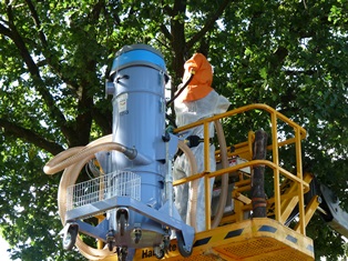 Absaugen der Eichenprozessionsspinner