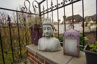 Ferienwohnung Stickelbroeck Terrasse