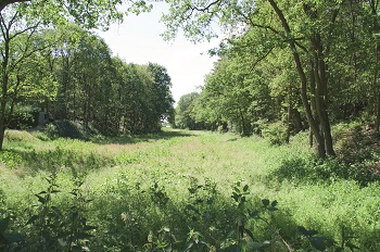Kanal Fossa Eugeniana bei Walbeck heute