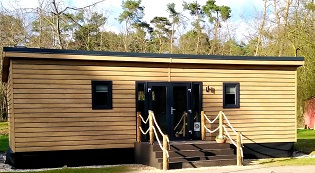 Wald-Loges Front Nah