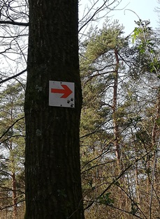 Waldjugenspiele Beschilderung