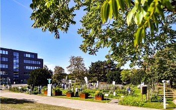 Kneipp Park auf dem Gesundheitscampus in Geldern