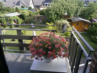 Treppenbalkon mit Blume und Gartenaussicht.