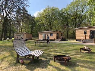Wald-Loges Frühjahr